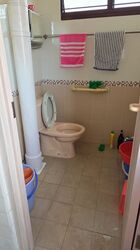 Blk 313 Shunfu Gardens (Bishan), HDB 3 Rooms #490991711